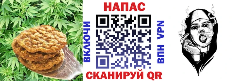 сайты даркнета Telegram mega зеркало Сясьстрой Печенье с ТГК марихуана