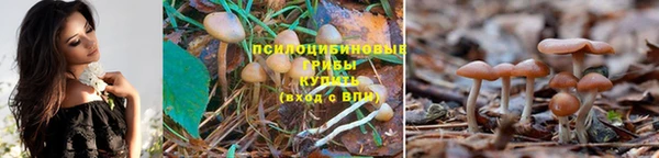 ГАЛЛЮЦИНОГЕННЫЕ ГРИБЫ Армянск