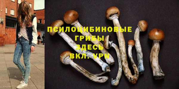 MDMA Алексин
